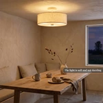 modern ceiling lamp